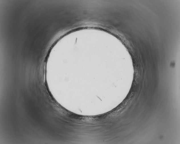 X0000116421175201001191444