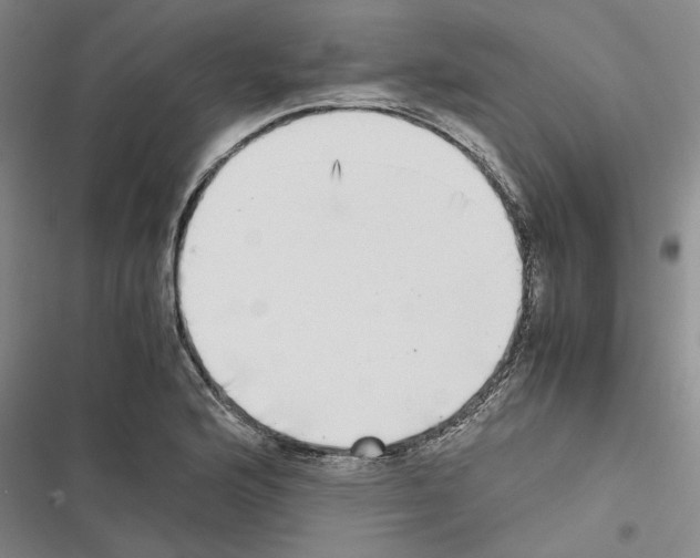 X0000116421176201001191444