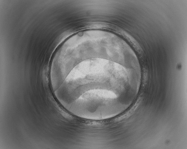 X0000116421178201001191444