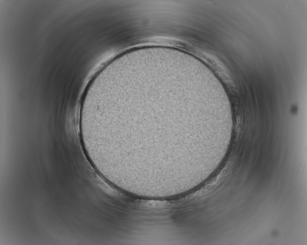 X0000116421180201001191443