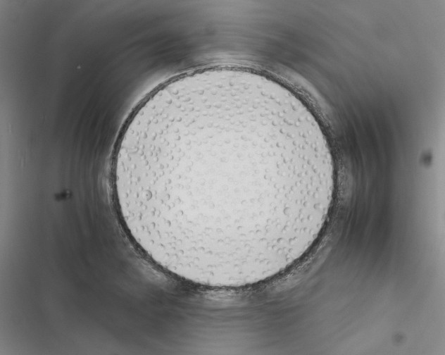 X0000116421182201001191443