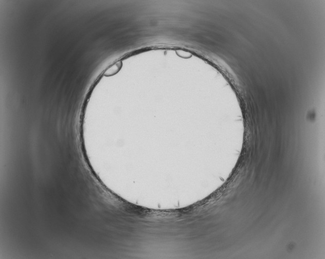 X0000116421183201001191443