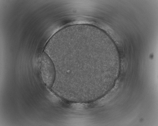 X0000116421185201001191443