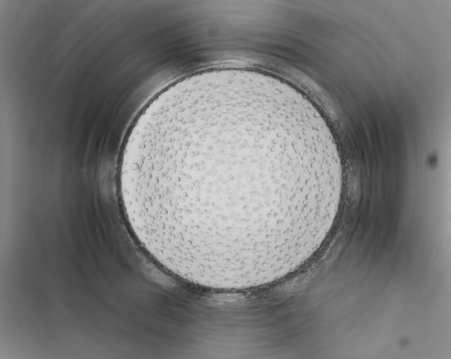 X0000116421186201001191443