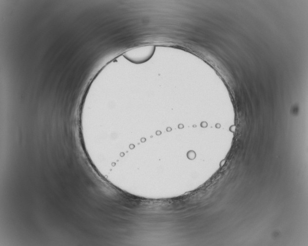 X0000116421187201001191443