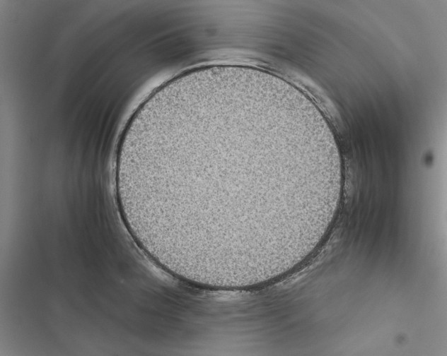 X0000116421188201001191443
