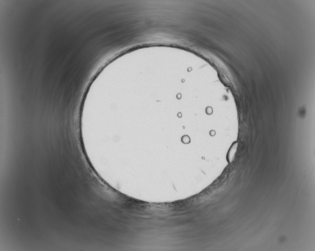 X0000116421191201001191443