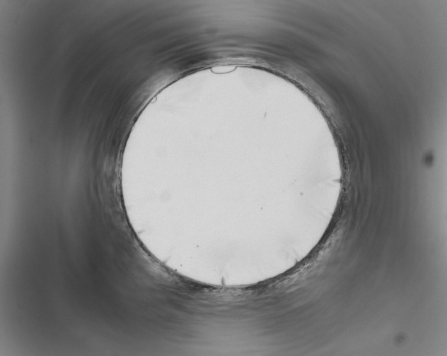 X0000116421193201001191443