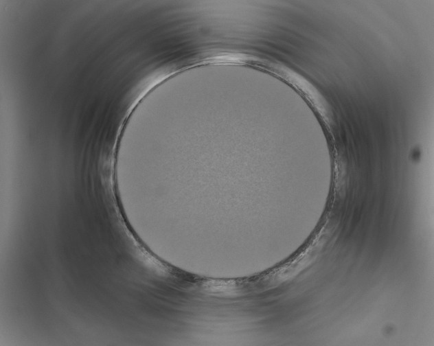 X0000116421194201001191443