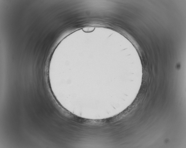 X0000116421195201001191443