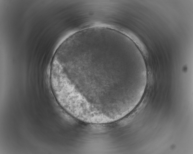 X0000116421198201001191443