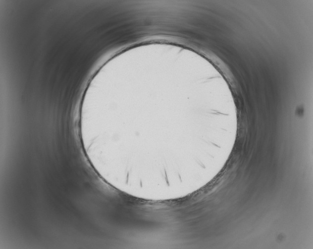 X0000116421199201001191443