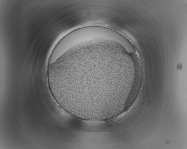 X0000116421200201001191443