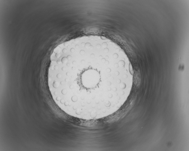 X0000116421201201001191443