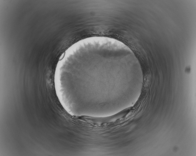 X0000116421202201001191443