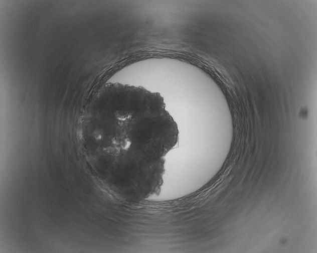 X0000116421204201001191443