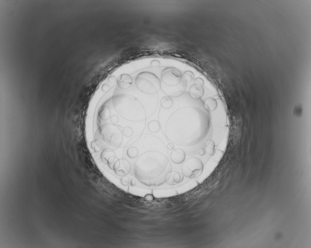 X0000116421205201001191443