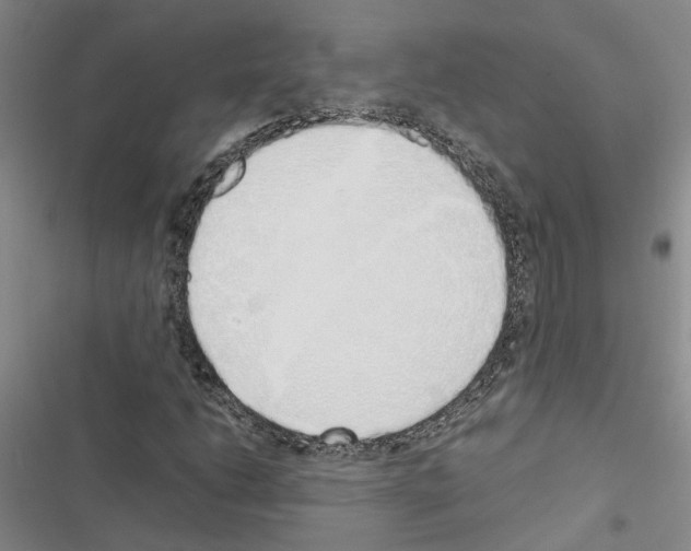 X0000116421206201001191443