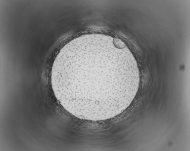 X0000116421207201001191443