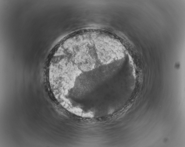 X0000116421208201001191443