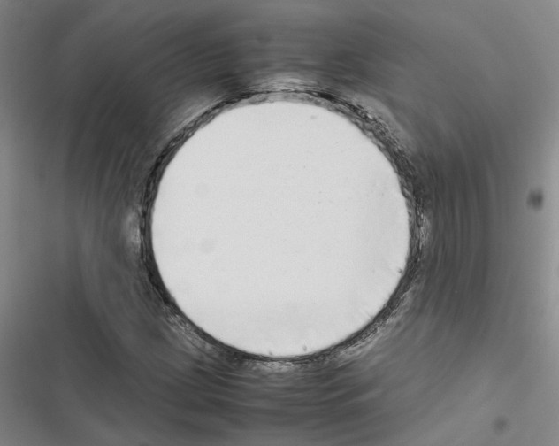 X0000116421209201001191443