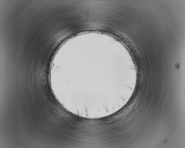 X0000116421210201001191443