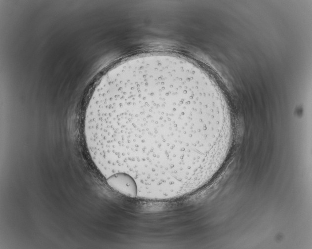 X0000116421211201001191443