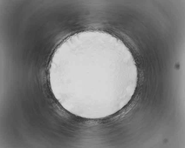 X0000116421212201001191443