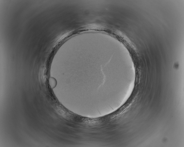 X0000116421213201001191443
