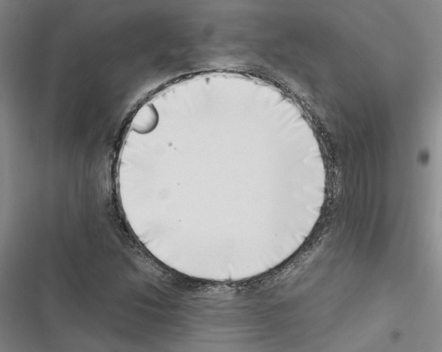 X0000116421214201001191443
