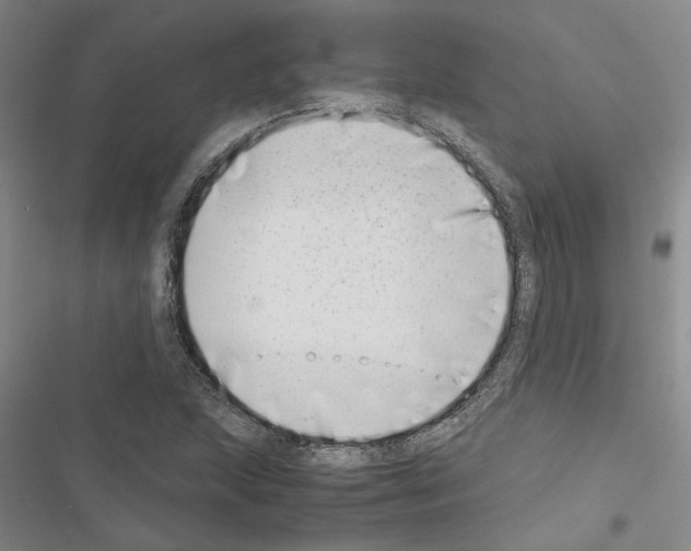 X0000116421215201001191443