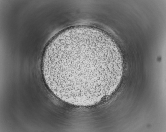 X0000116421216201001191443