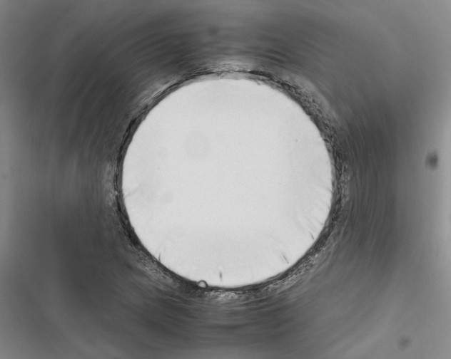 X0000116421217201001191443