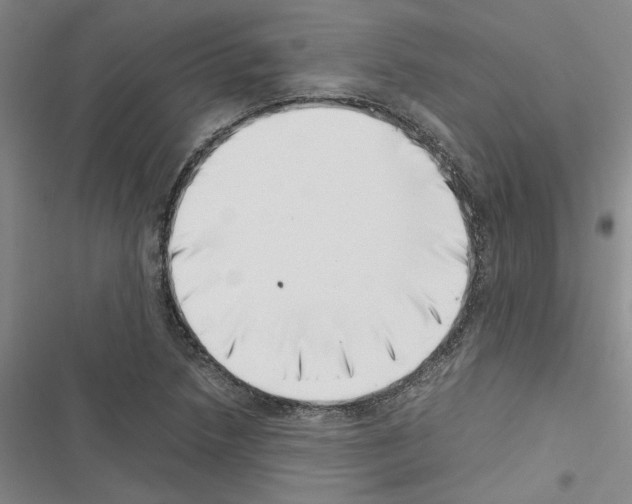 X0000116421218201001191443