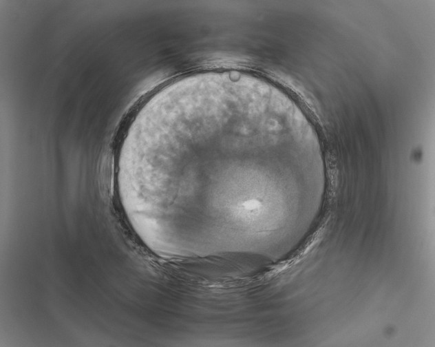 X0000116421219201001191443