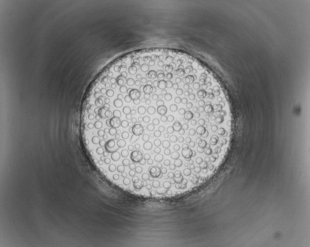 X0000116421220201001191443