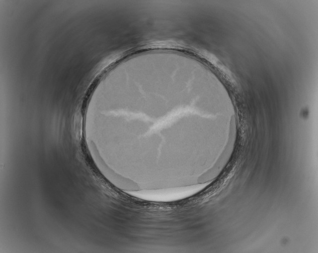 X0000116421221201001191443