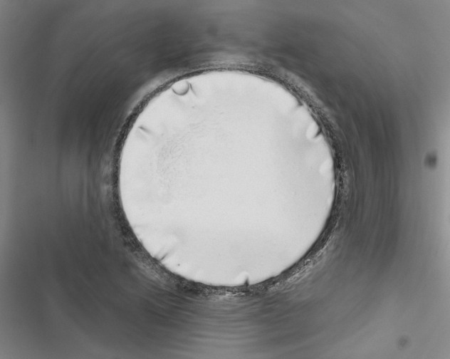 X0000116421222201001191443
