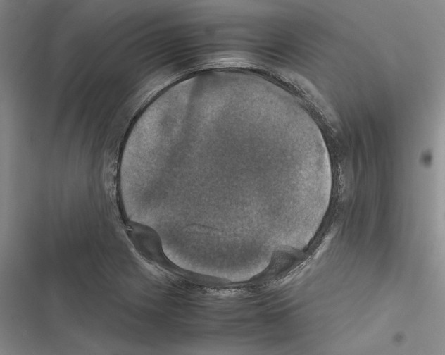 X0000116421225201001191443