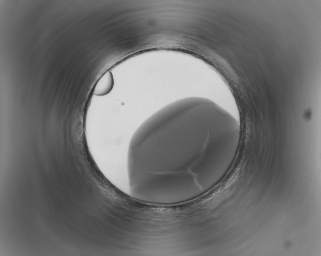 X0000116421226201001191443