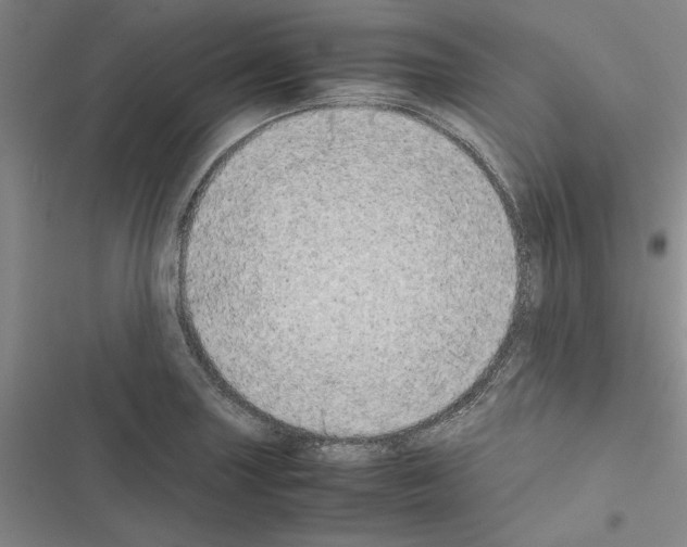 X0000116421227201001191443