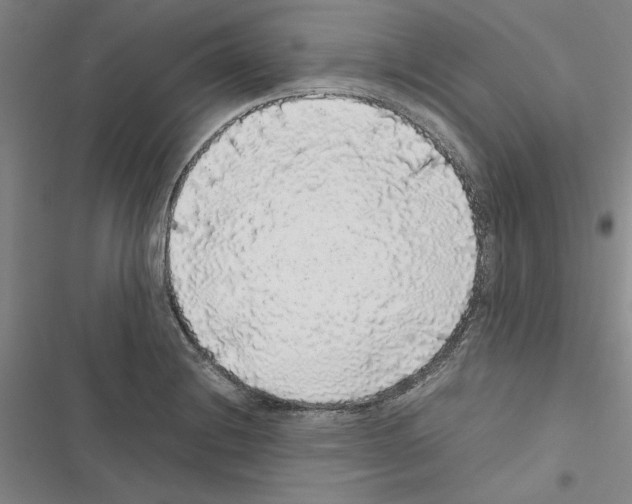X0000116421228201001191443