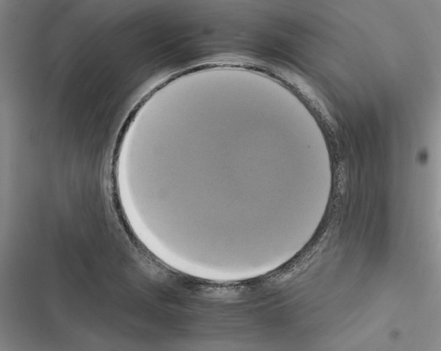 X0000116421229201001191443
