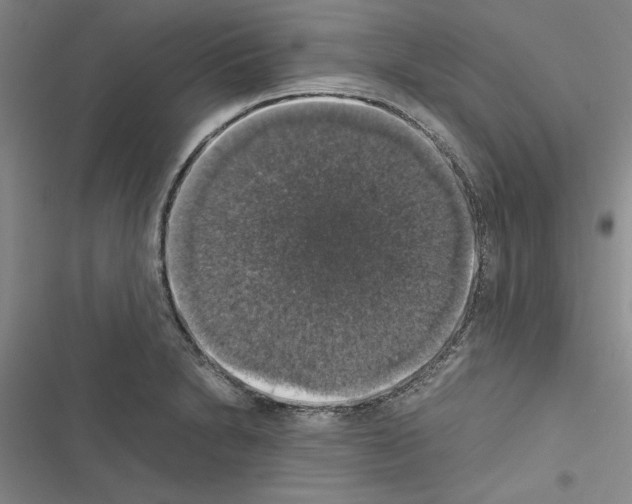 X0000116421230201001191443