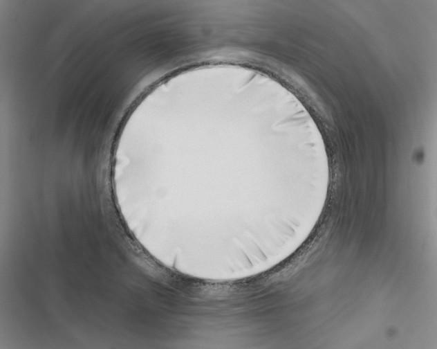 X0000116421232201001191443