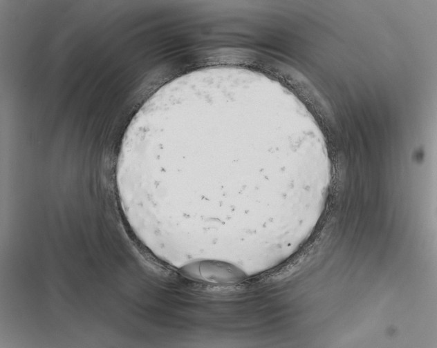 X0000116421233201001191443