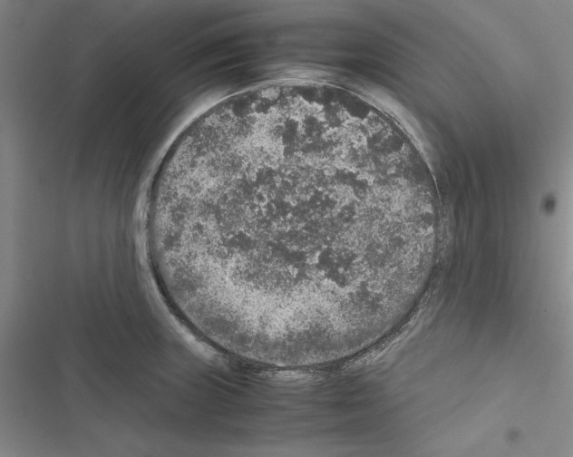 X0000116421235201001191443