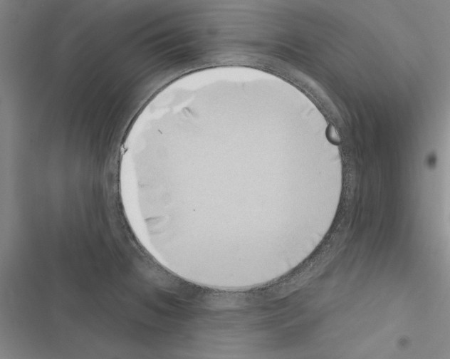 X0000116421236201001191443