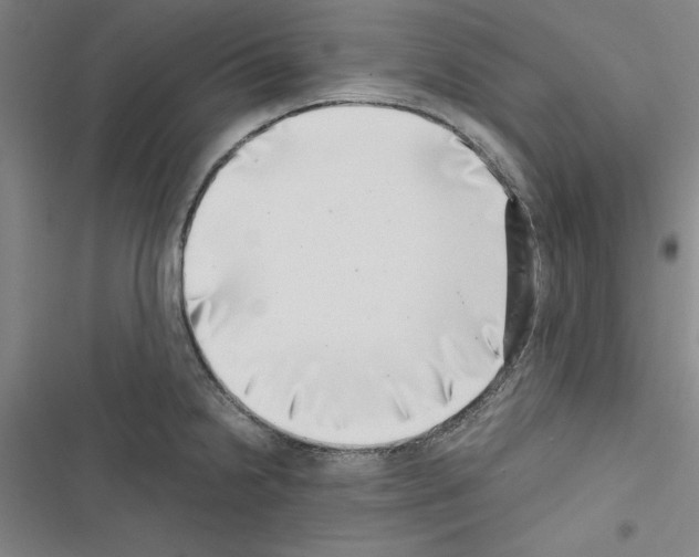 X0000116421238201001191443