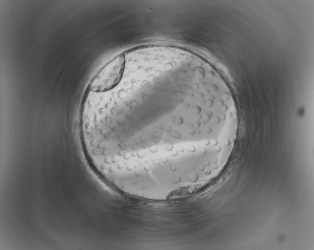 X0000116421239201001191443